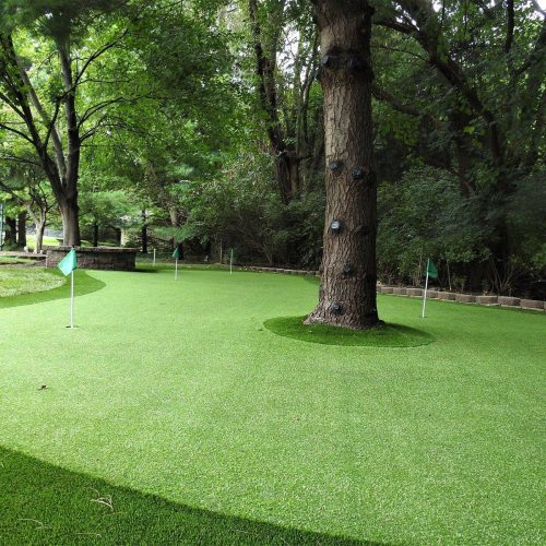 Artificial Grass Backyard Putting Green